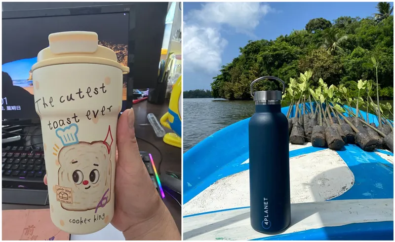 Giải vô địch FINA 2025 tại Singapore với chúng tôi